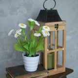 Potted Faux White Daisies