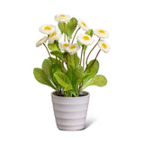 Potted Faux White Daisies