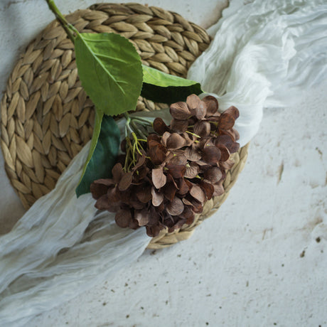 Brown Hydrangea Spay