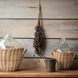 Dried Palm Fruit Cluster Botanical Stem