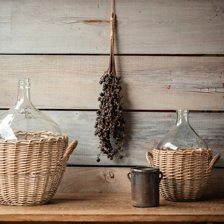 Dried Palm Fruit Cluster Botanical Stem