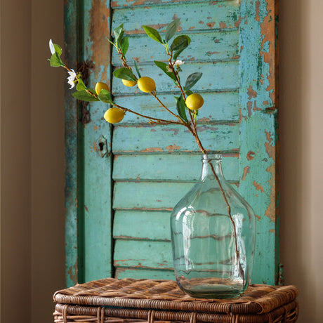 Eureka Lemon Branch Stem