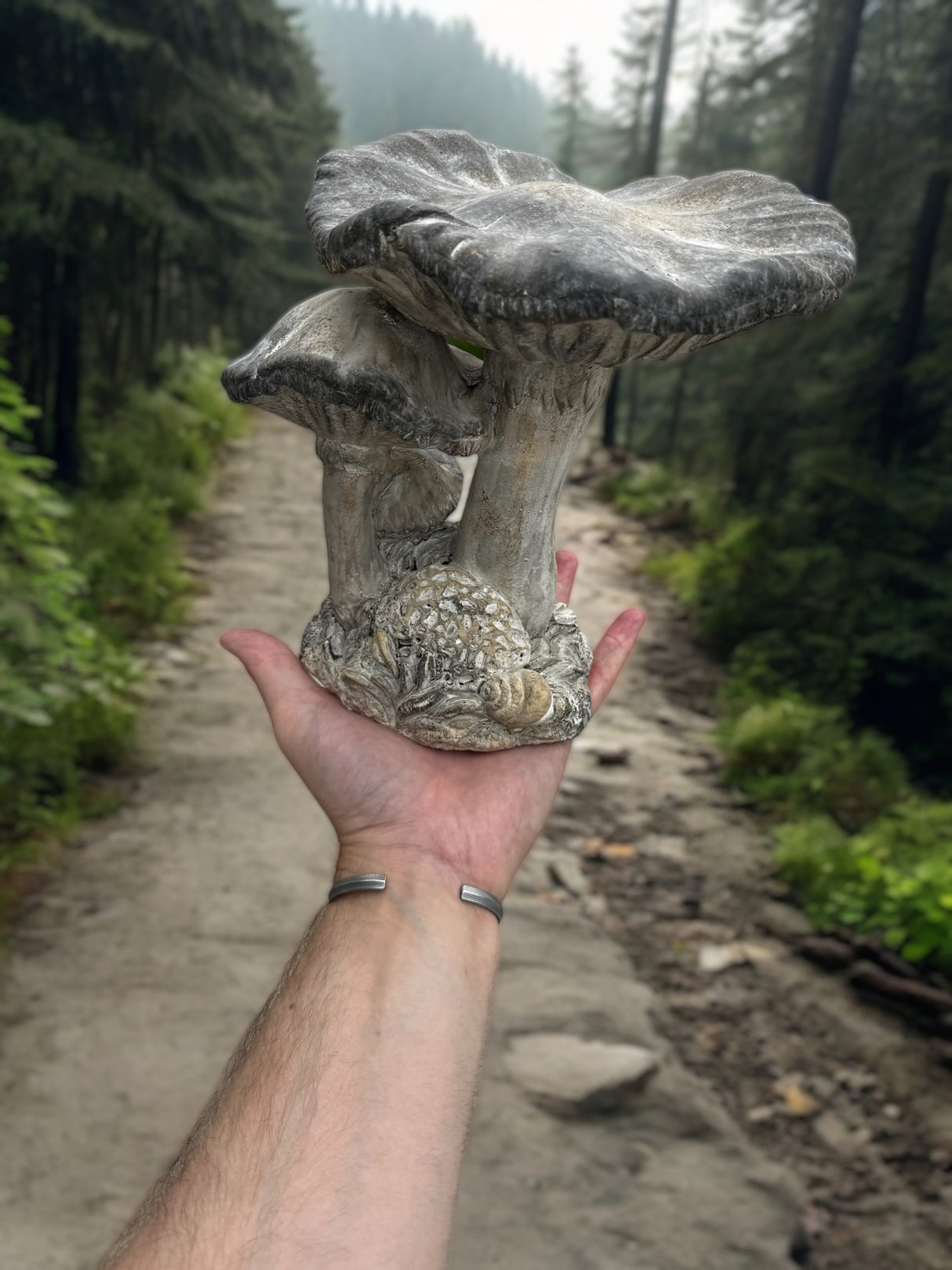 Concrete Cap Mushroom Specimens