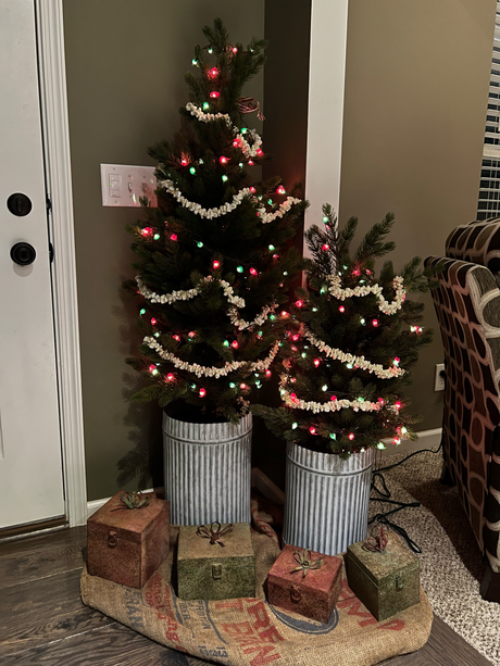 faux potted spruce trees for Christmas