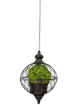 Green Moss Orb Decorative Accent