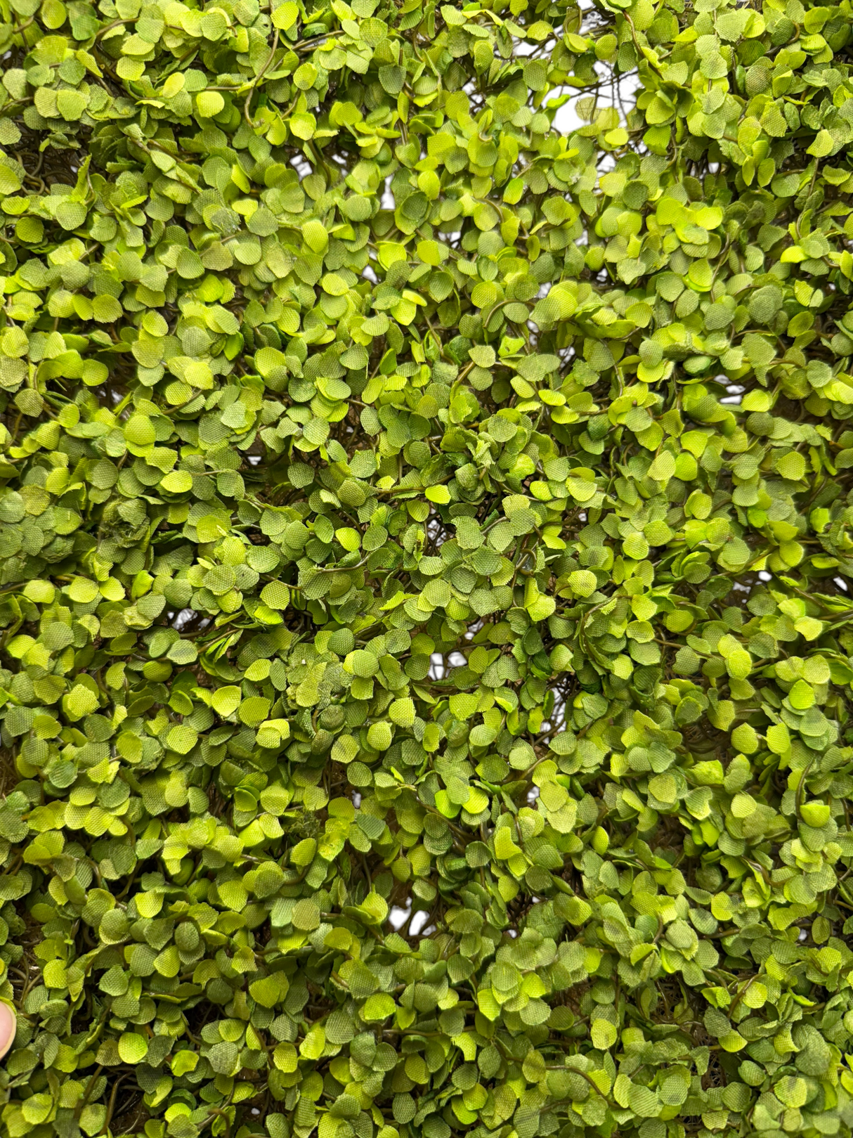 Green Moss Mat | 12'' Square