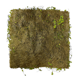 Green Moss Mat | 12'' Square