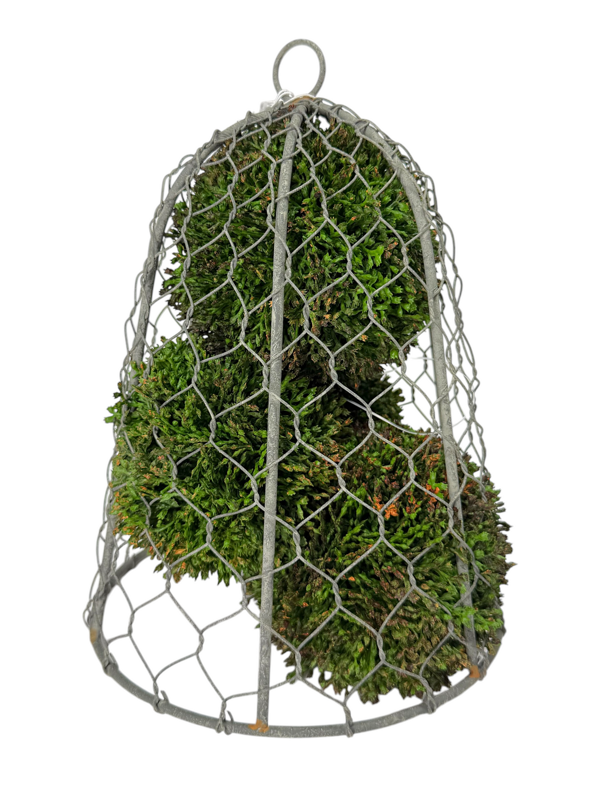 Green Hanging Sedum Orb | 2 Sizes