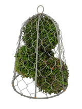 Green Hanging Sedum Orb | 2 Sizes