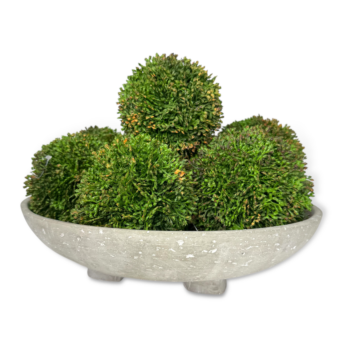 Green Hanging Sedum Orb | 2 Sizes