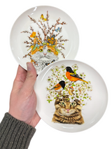 Flora Fauna Cat Ceramic Plate | 2 Styles