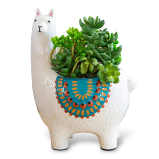 llama ceramic planter by natural life