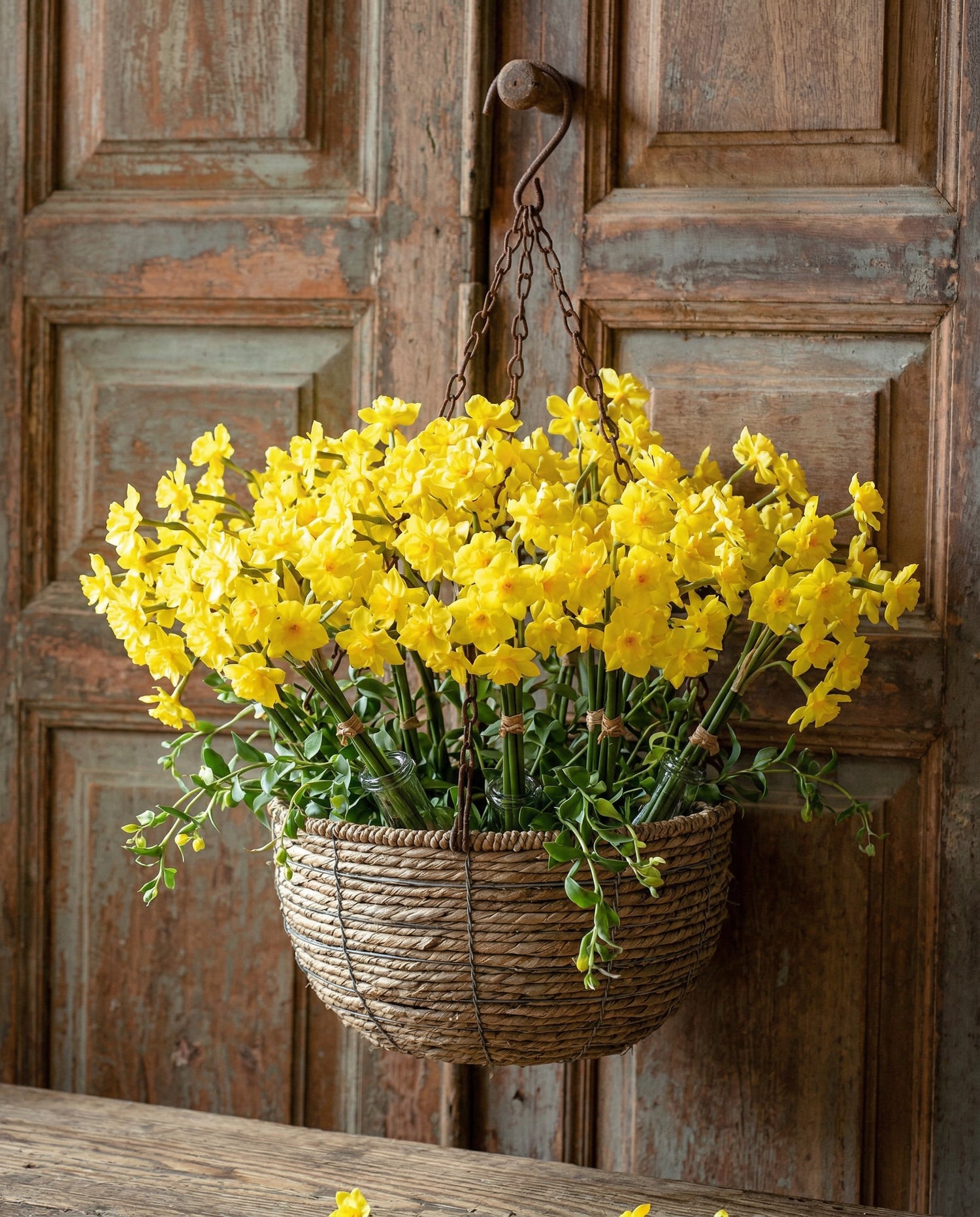 Buttercup Narcissus Flower Bunch