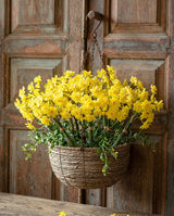Buttercup Narcissus Flower Bunch