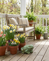 Light Green Ceramic Garden Frog