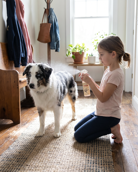 Orchid Blush Waterless Dog Wash Spray | Mixologie