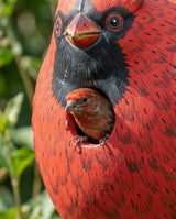 Cardinal Gord-O Wooden Birdhouse