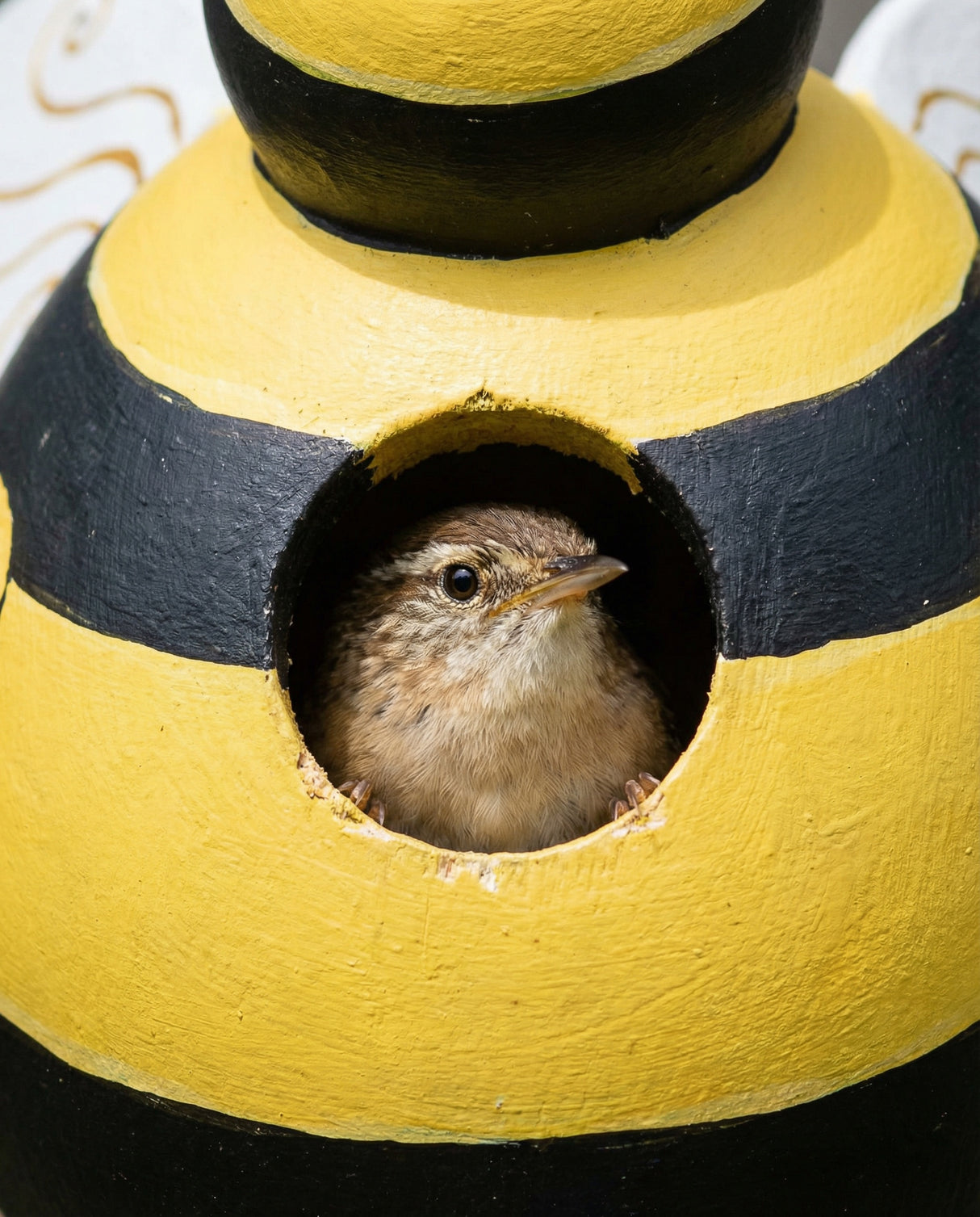 Bumblebee Gord-O Wooden Birdhouse