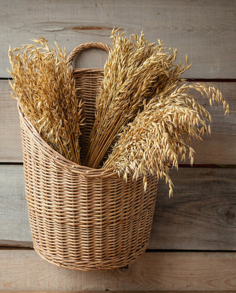 Dried Wild Oats Botanical Bunch