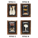 Framed Faux Mushroom Convex Shadow Box Wall Décor