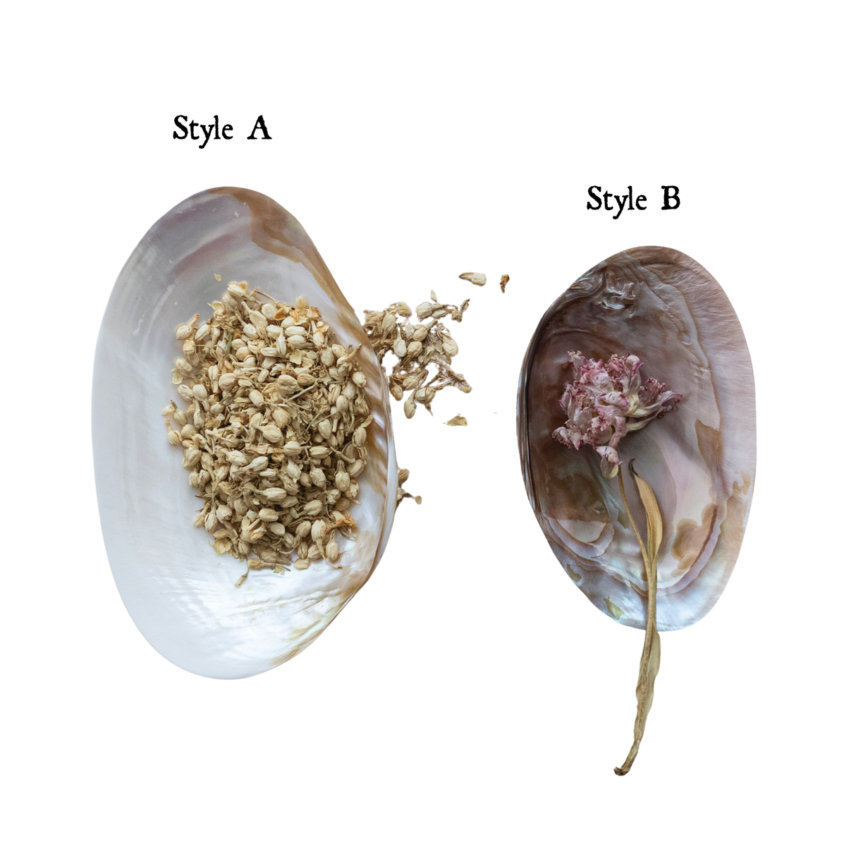 Natural Shell Footed Dish
