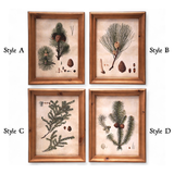 Framed Pine Bough Wall Art