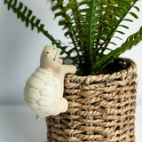 Beige Frog Ceramic Pot Hanger
