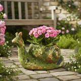 Mossy Terracotta Snail Planter