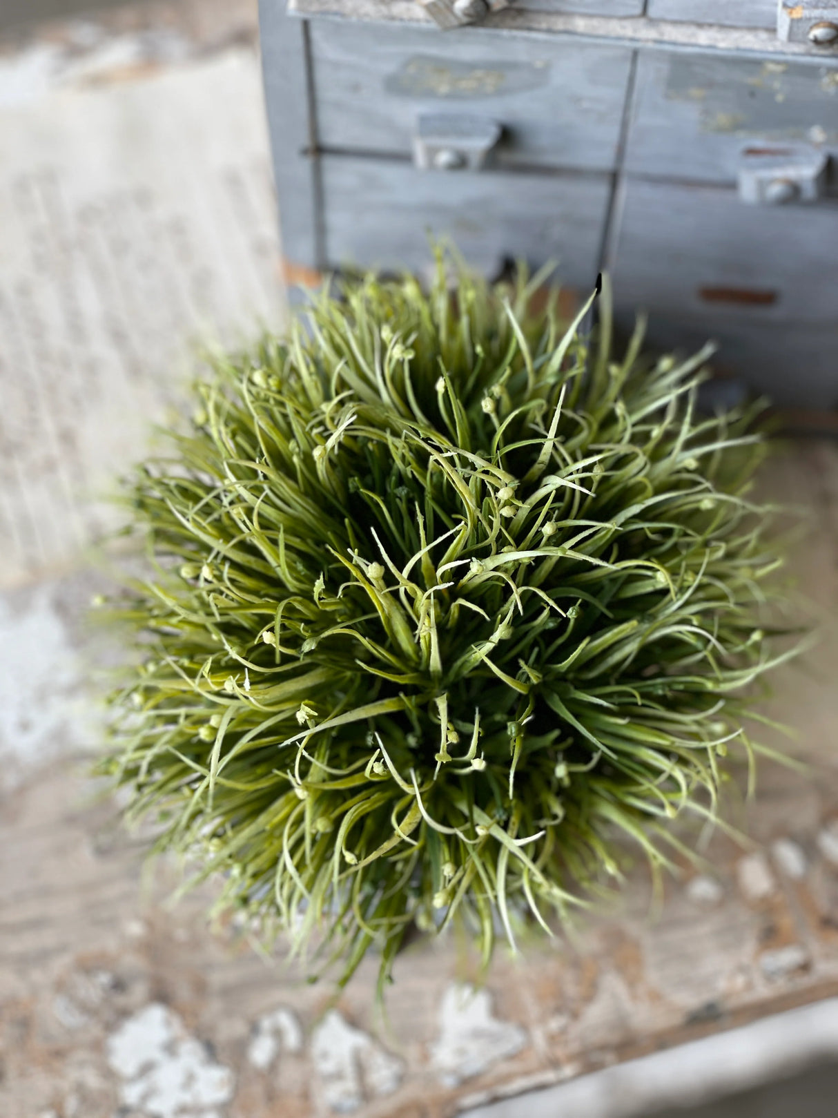 Ashoka Grass Half Sphere