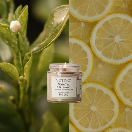 Votivo White Tea & Bergamot Discovery Candle