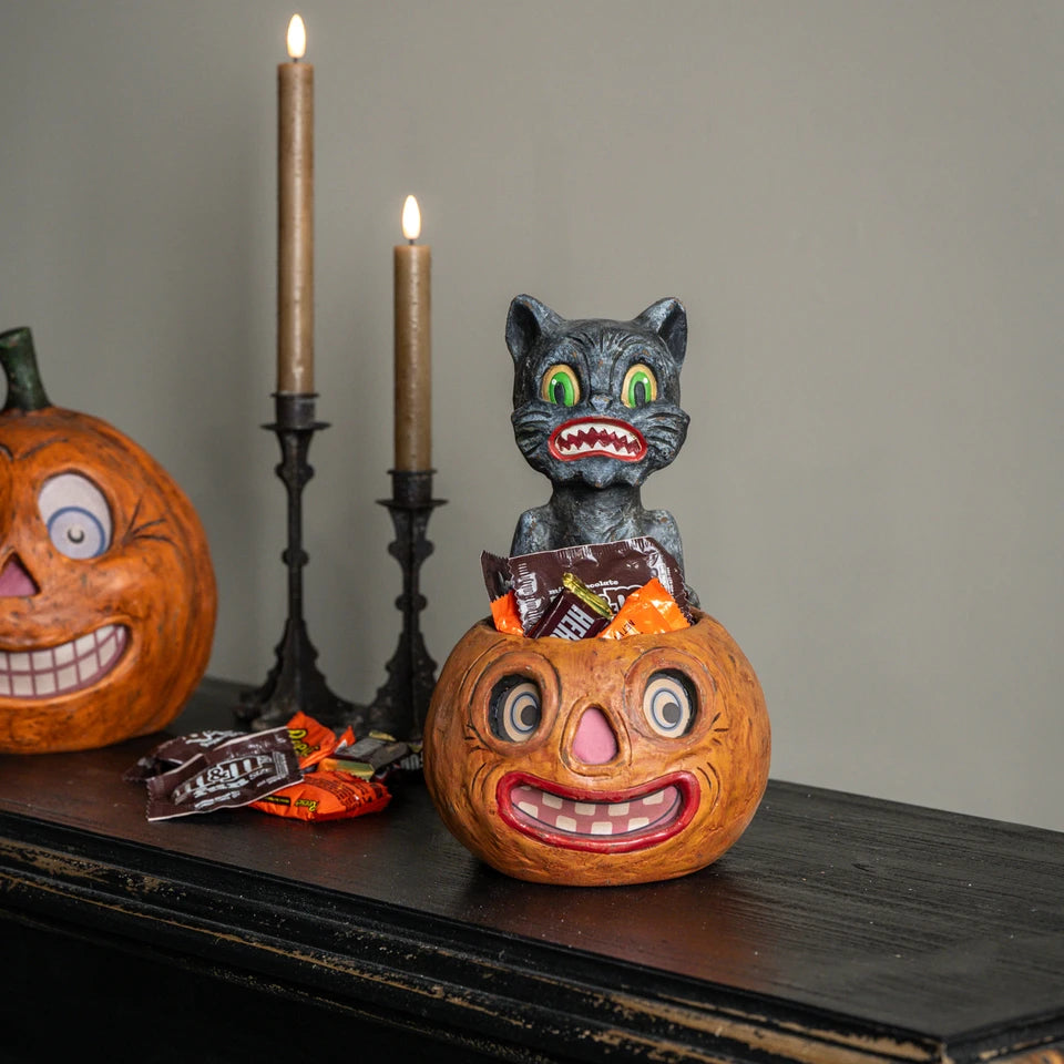 Crazy Cat with Jack-O'-Lantern Candy Bucket