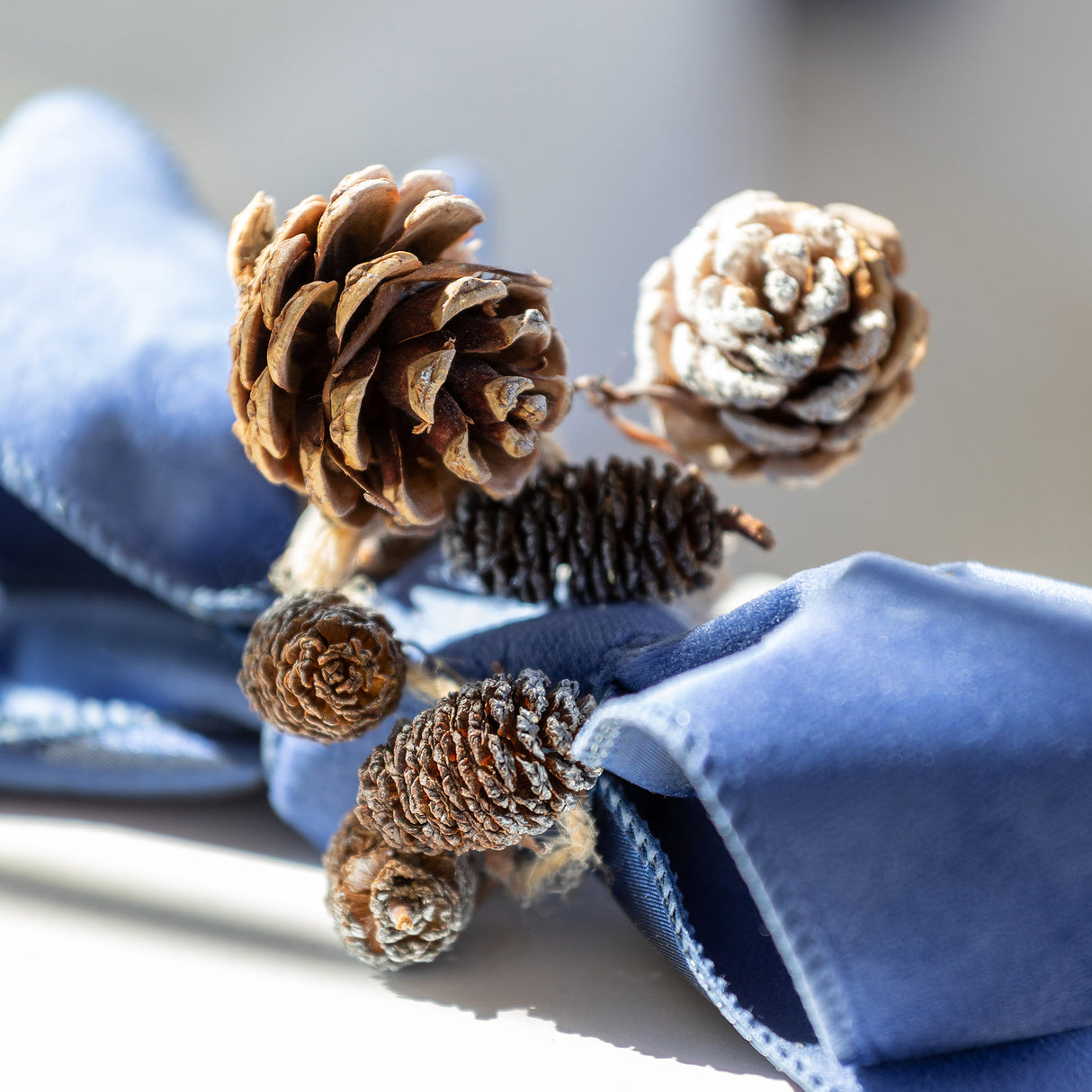 Frosted Mixed Pine Cone Garland