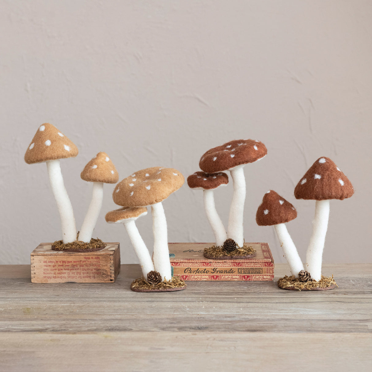 Round and Pointed Cap Felt Mushrooms