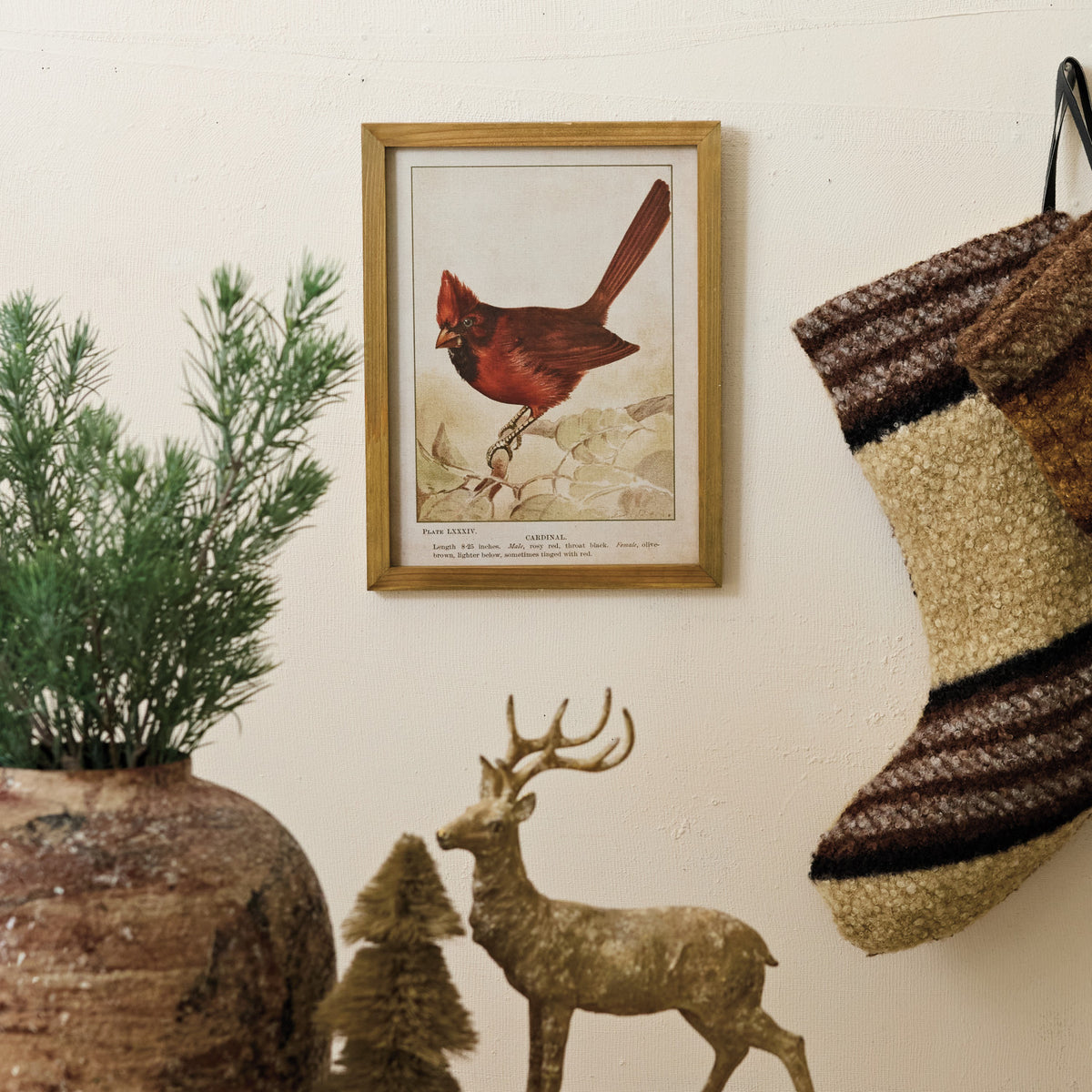 Vintage Inspired Cardinal Framed Wall Art