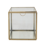 Gold Metal & Glass Display Box