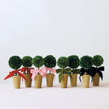Dried Boxwood Topiary with Red Velvet Bow