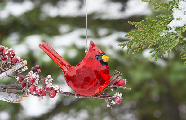 Red Cardinal Crystal Christmas Ornament