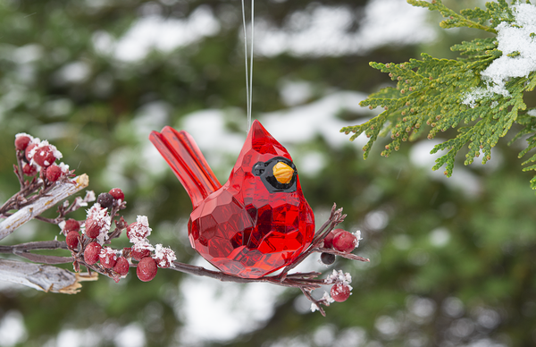 Red Cardinal Crystal Christmas Ornament