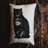 Primitive Black Cat Accent Pillow