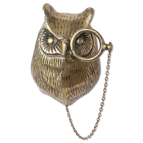 antique brass owl head wall decor with monocle