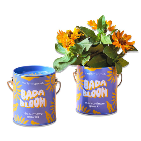 Mini sunflower grow kit in reusable printed paint can labeled “Bada Bloom” for indoor gardening and gifting