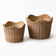basket weave cement planter textured plant pot for houseplants decorative indoor planter
