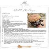 Sweet Bourbon Grillin’ BBQ Sauce | Finch + Fennel