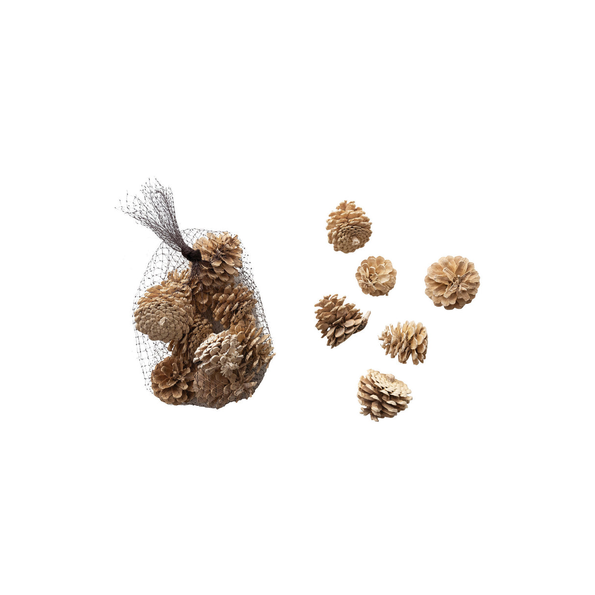 Dried Natural Pinecones in Mesh Bag (Set of 15)