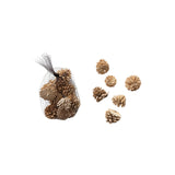 Dried Natural Pinecones in Mesh Bag (Set of 15)