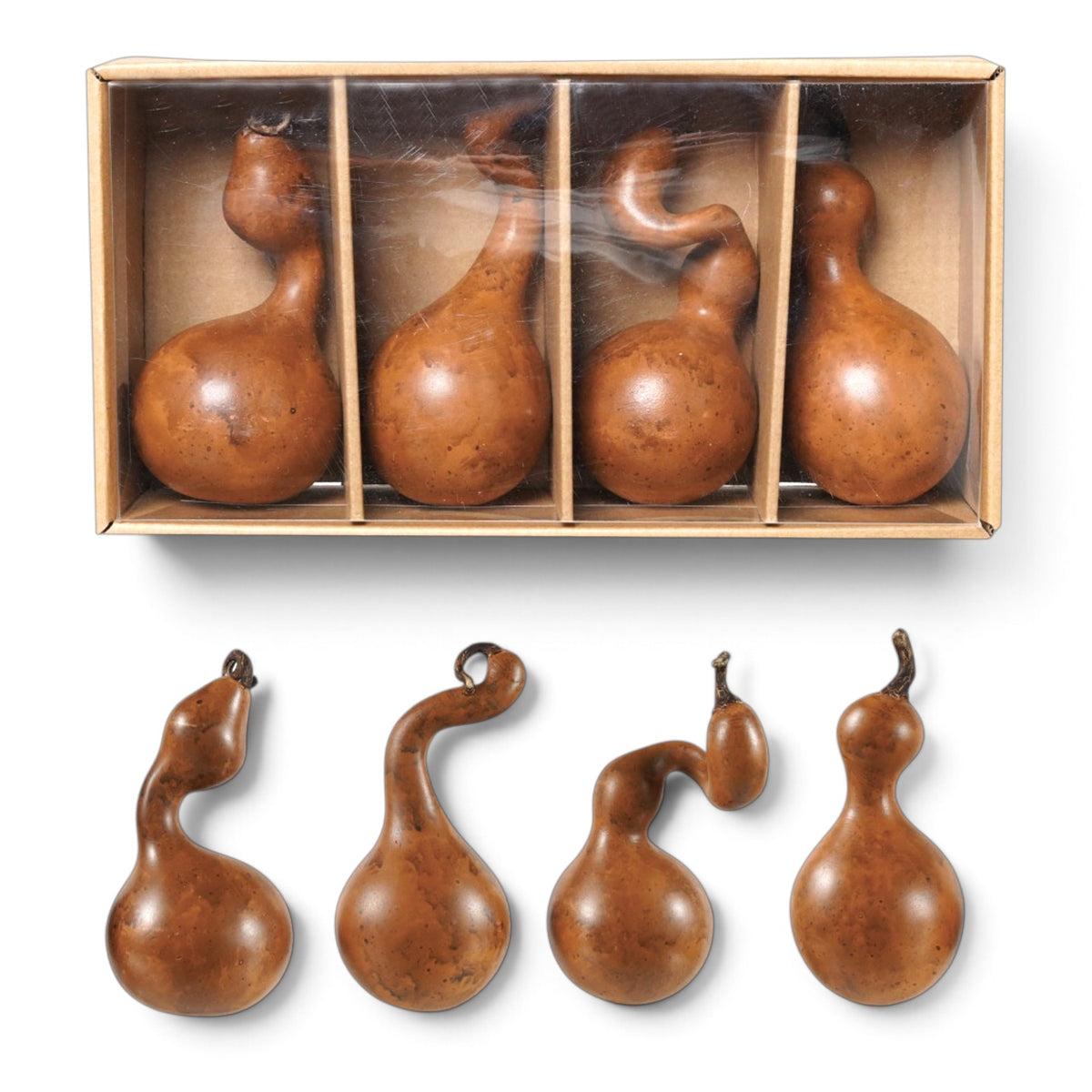Four brown resin gourds with assorted curved necks, mottled finishes, and dark stems shown beside their divided box
