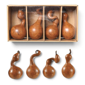 Four brown resin gourds with assorted curved necks, mottled finishes, and dark stems shown beside their divided box
