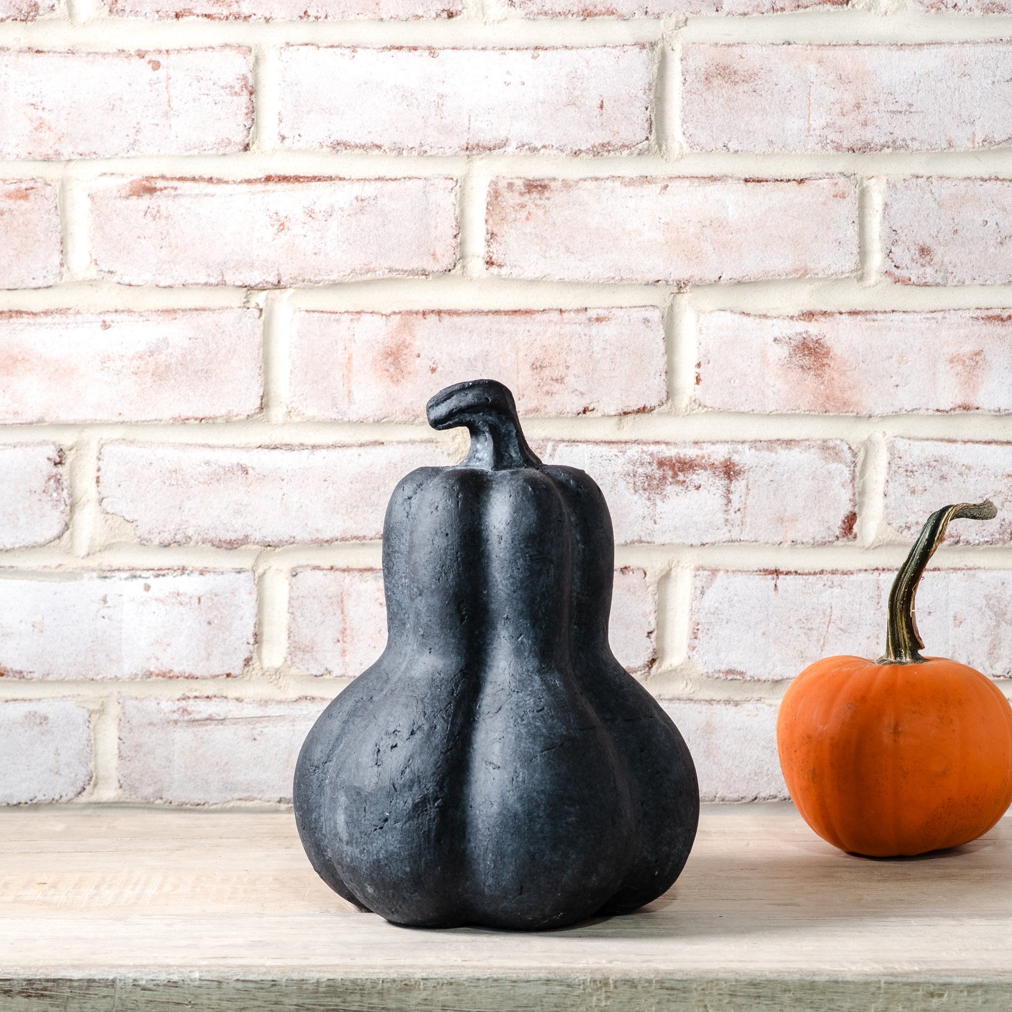 Rust and Cinder Gourd