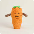 carrot vegetable plush warmies