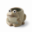 ceramic frog planter small succulent pot cute animal planter home decor